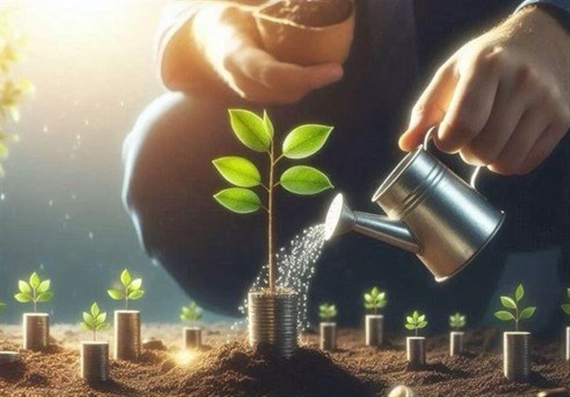 «هوش مالی یا هوش واسطه‌گری؟ تفاوت‌ها و نقاط اشتراک در مسیر ثروت‌سازی»
